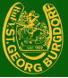 logo_rufv_stgeorge